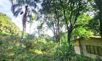 Imagem 2: Sítio / Chácara para Venda em Nova Petrópolis, Linha Pirajá Baixa