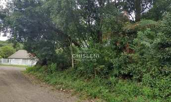 Imagem 4: TERRENO EM CANELA