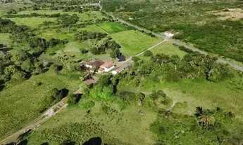Imagem 3: Excelente fazenda com 50 hectares na região de São Gonçalo do Amarante cortada pelo rio Po