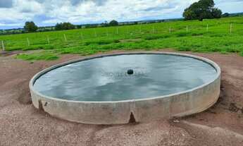Imagem 3: Fazenda com dupla aptidão no Município a cidade de Araguapaz no estado de Goias