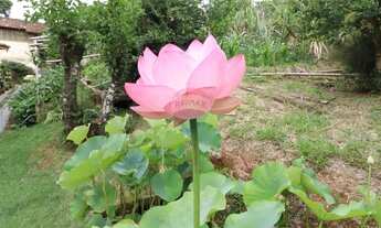 Imagem 6: Sítio à venda em Atibaia Bairro do Tanque