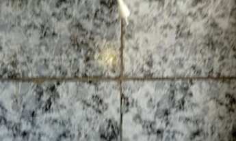 Imagem 7: Quarto/casa. 999!