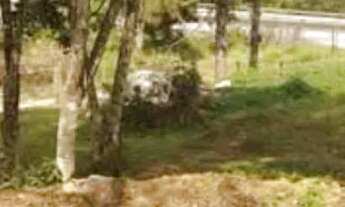 Imagem 3: Terreno com 660 Chácara com venda por R$115.000