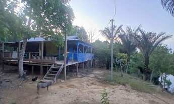 Imagem: Sítio avenda medindo 290 x 2000