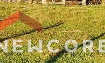 Imagem 3: Sítio em Rua Onze de Agosto - Centro - Tatuí/SP