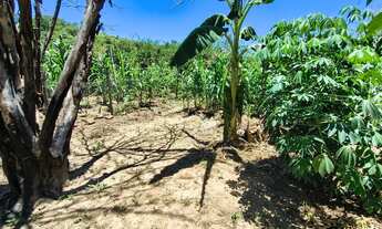 Imagem 6: VENDO CASA 1000m²