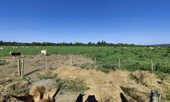 Imagem 7: Fazenda em Itamarajú, Bahia