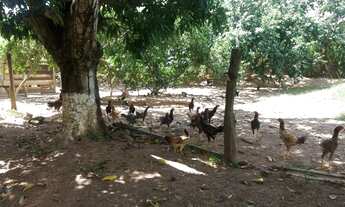 Imagem 7: !!! 2.800.000 !!!