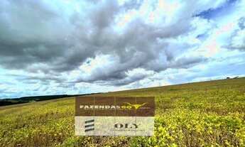 Imagem: Oportunidade Extra ! Fazenda em Uruaçu