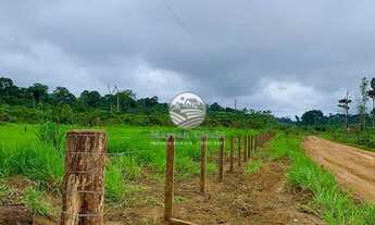 Imagem 7: Candeias do Jamari - Fazenda - 84 Alqueires Barato