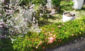 Imagem 2: Casa de condomínio para venda tem 282 metros quadrados com 3 quartos em Itaigara - Salvado