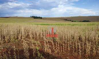 Imagem 3: Sítio à venda por R$ 6.500.000 - Rural - Andirá/PR