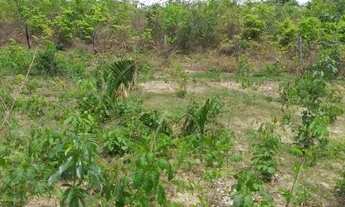 Imagem 5: Vende Terreno com 4Hectares Codó