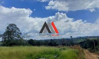 Imagem 3: Excelente terreno de 8000m²