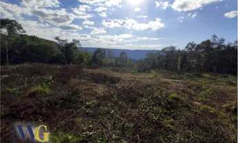 Imagem 7: Terreno Rural para Venda em Campo Largo, São João do Povinho