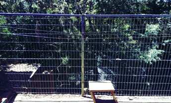 Imagem 4: Alugo Casa no Centro de Rolante