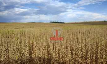 Imagem 4: Sítio à venda por R$ 6.500.000 - Rural - Andirá/PR