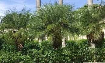 Imagem 3: Jundiaí - Casa Padrão - Chácara das Videiras