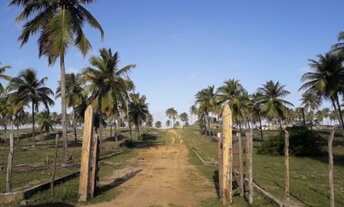 Imagem: Área frontal em Conde, 30.000 m²