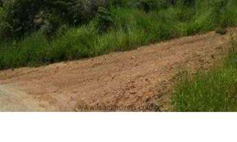 Imagem 2: Terreno em Terra Preta de 280 m² - R$ 100 mil