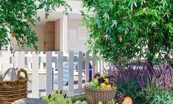 Imagem 5: Apartamento para Venda em Ribeirão das Neves, Dona Clara, 2 dormitórios, 1 banheiro, 1 vag