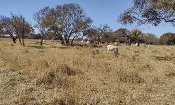 Imagem 7: Fazenda/Sítio/Chácara para venda com 9,9 hectares saída para o Prata!