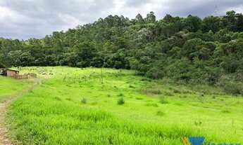 Imagem 5: Terreno a Venda no Bairro Fazenda Velha em Arujá!!