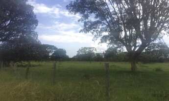 Imagem 4: Terreno no bairro Área Alfa (Santa Maria