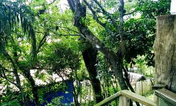 Imagem 4: Casa para venda com 512 metros quadrados com 1 quarto em Capao - Garopaba - SC