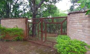 Imagem 2: MATEUS LEME - Sítio - Centro