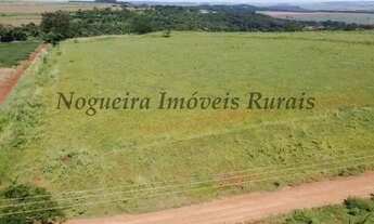 Imagem 5: Fazenda com 136 alqueires na região de Jaú (Nogueira Imóveis Rurais