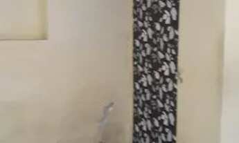 Imagem 4: Apartamento em Botafogo