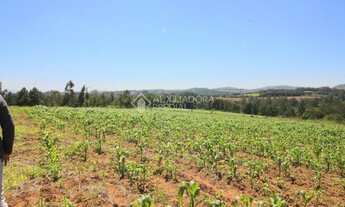 Imagem 4: SãO LEOPOLDO - Terreno Padrão - Campestre