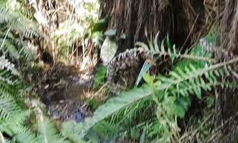 Imagem 3: Morada donsossego