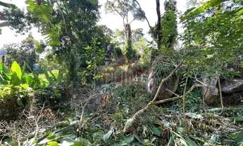 Imagem 7: Terrenos em Pendotiba- Rua Do Country Club