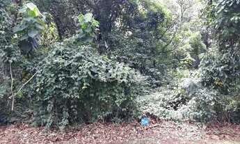 Imagem: São Paulo - Terreno Padrão - Tucuruvi