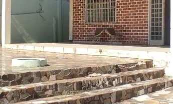 Imagem: Casa 3 Quartos Sendo 1 Suite No Shangrilá