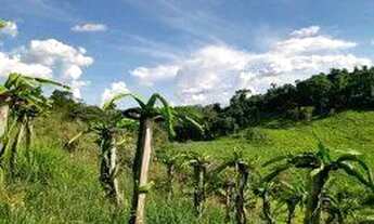 Imagem 4: Chácara vendo ou troco por casa em SJC