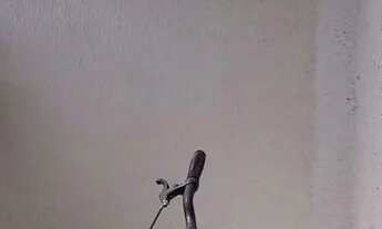 Imagem 6: Aluga-se apartamento no janga