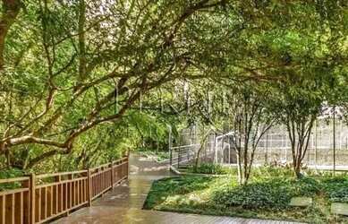 Imagem 5: PORTO ALEGRE - Padrão - Três Figueiras