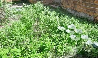 Imagem 3: Vendo está casa