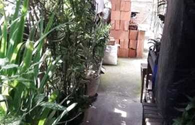 Imagem 6: Imóvel, casa c 2 ljs