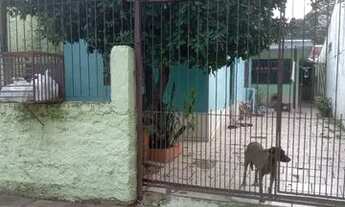 Imagem 5: Casa Casa com 3 dormitórios