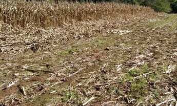 Imagem 6: Sítio em Canela!