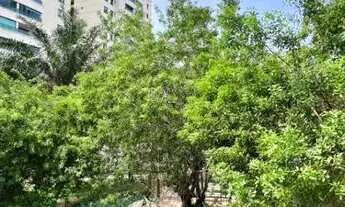 Imagem 2: Fantástica cobertura no Parque Tropical