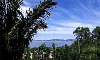 Imagem 3: IMARUí - Casa Padrão - Centro