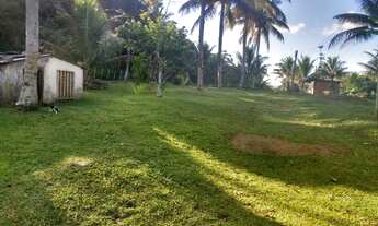 Imagem 3: Fazenda Vale do Rio de Contas, 72 hectares, fundo Rio de Contas, Itacaré,Bahia