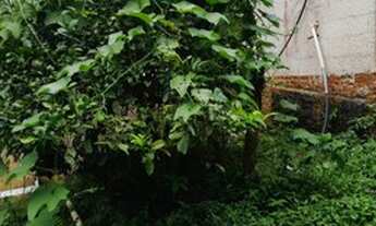 Imagem 2: Chácara 1.140m fácil acesso