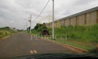 Imagem 6: Terreno - Matão - Campinas