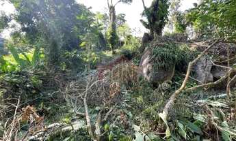 Imagem 3: Terrenos em Pendotiba- Rua Do Country Club